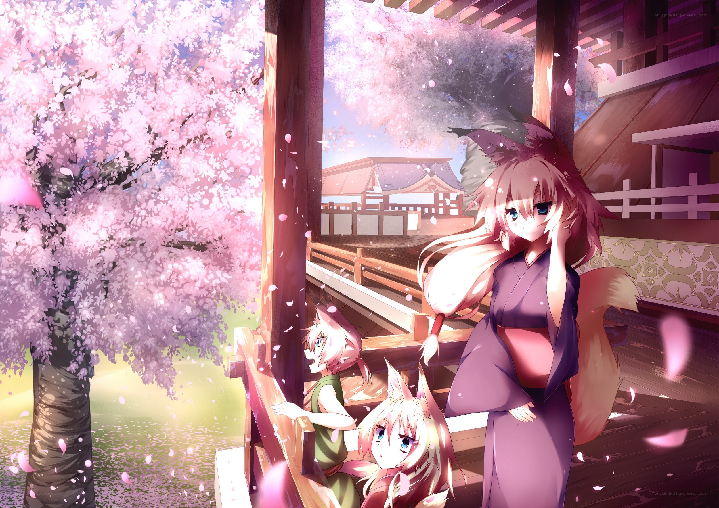 Fox girls under cherry blossoms