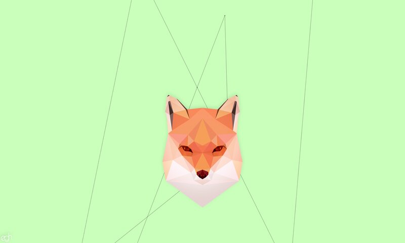 Fox Head Illustration — Green