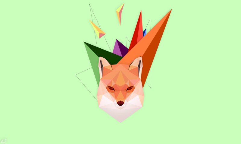 Fox Head Illustration