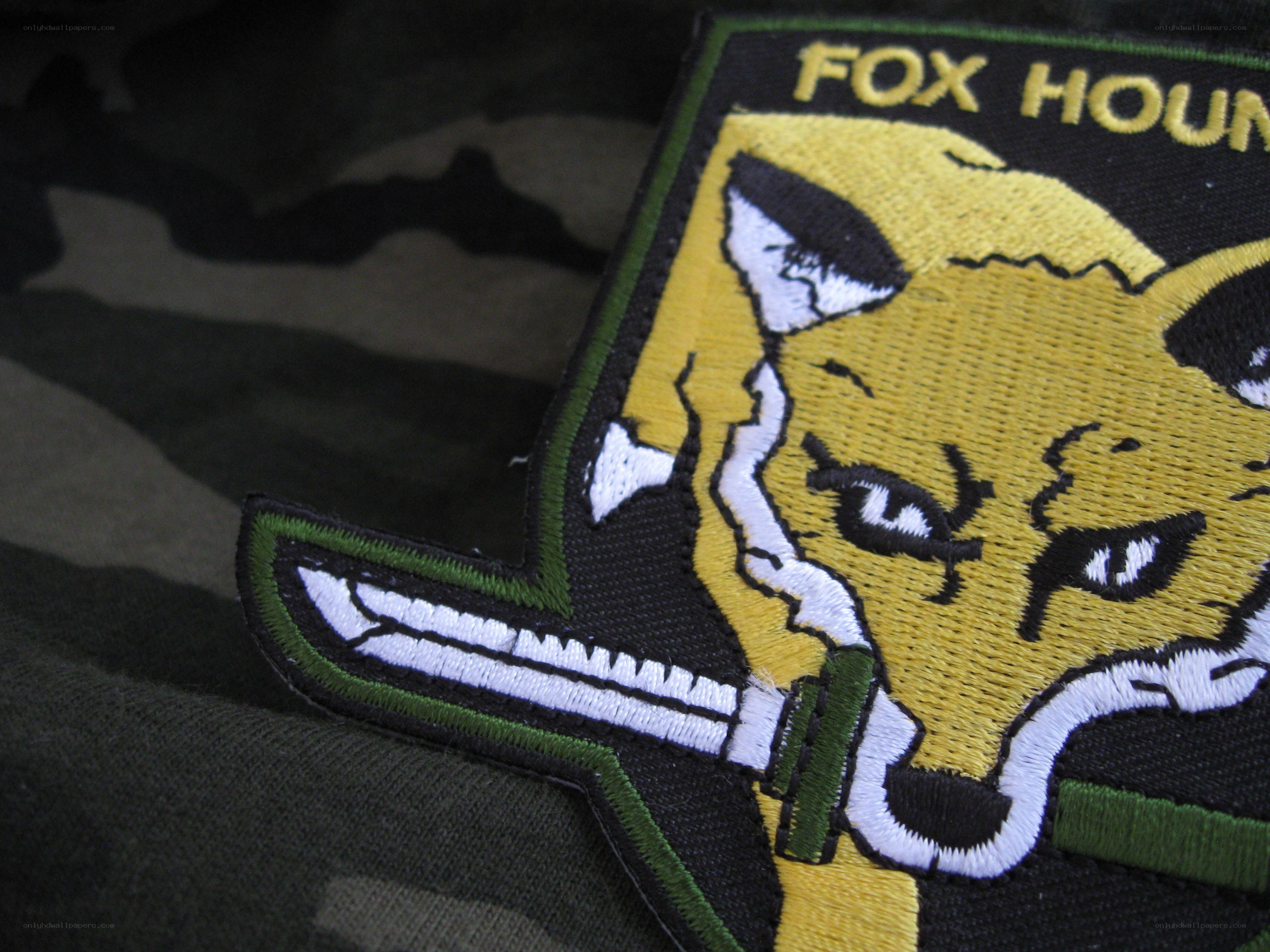 Fox Hound patch on camouflage