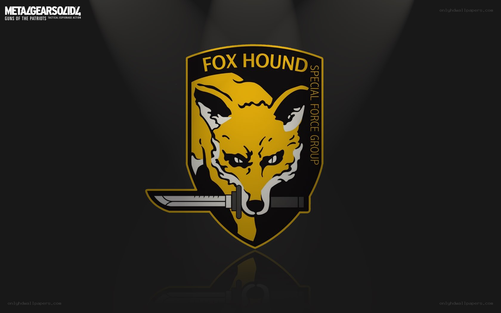 Fox Hound Special Force Group