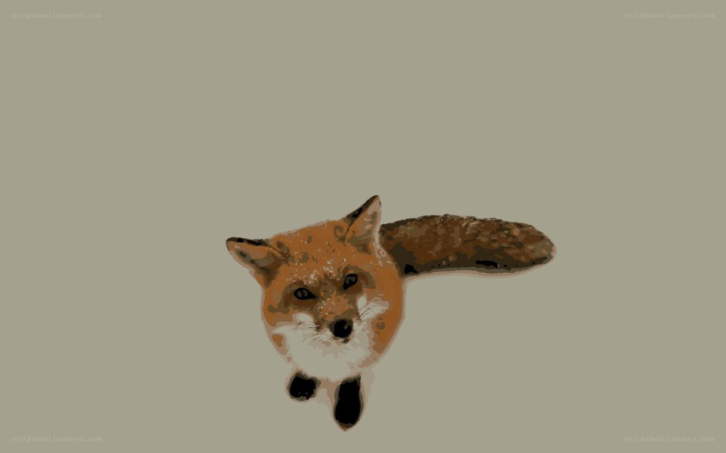 fox illustration on beige