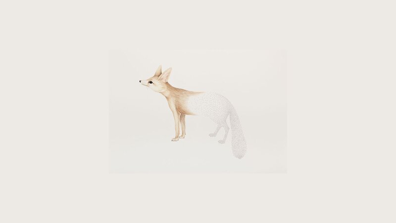 fox illustration with dotted tail