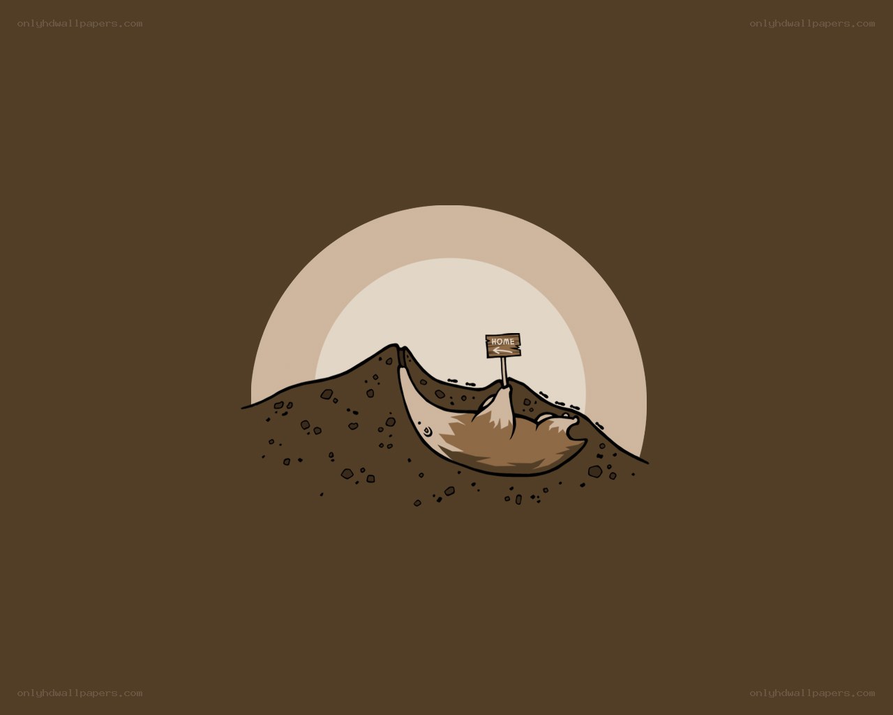 fox in a burrow