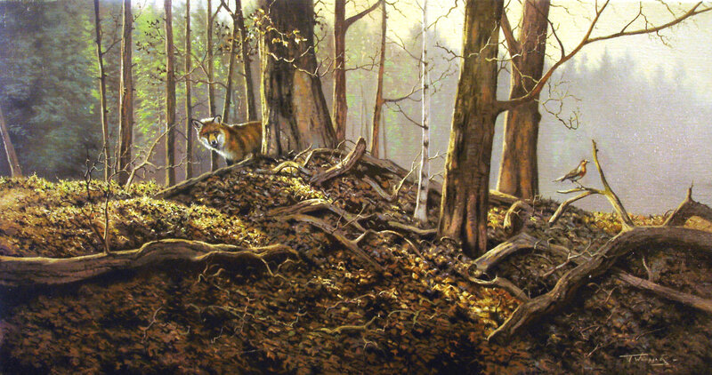 Fox in a forest clearing