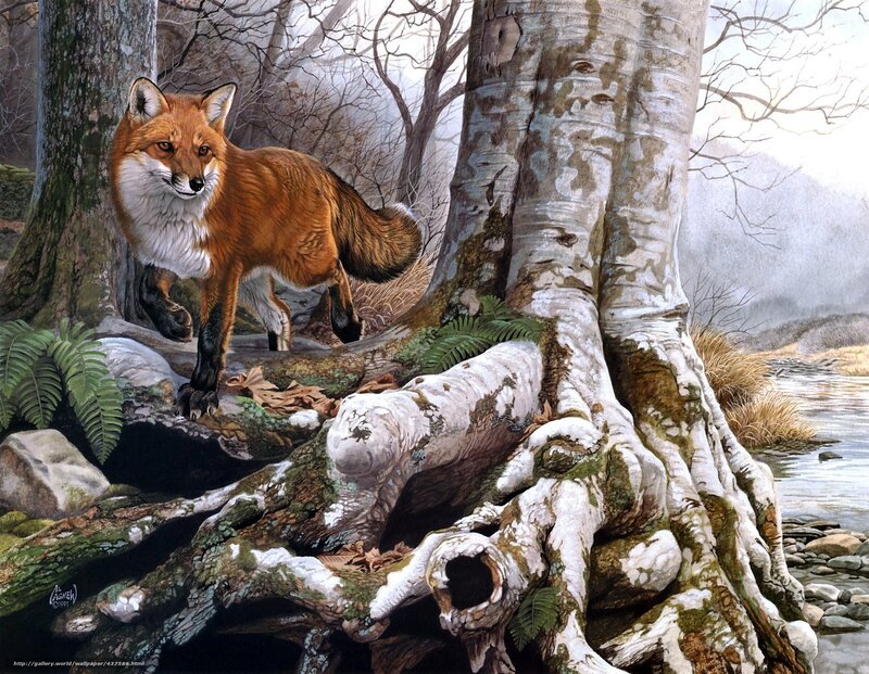 Fox in a forest scene