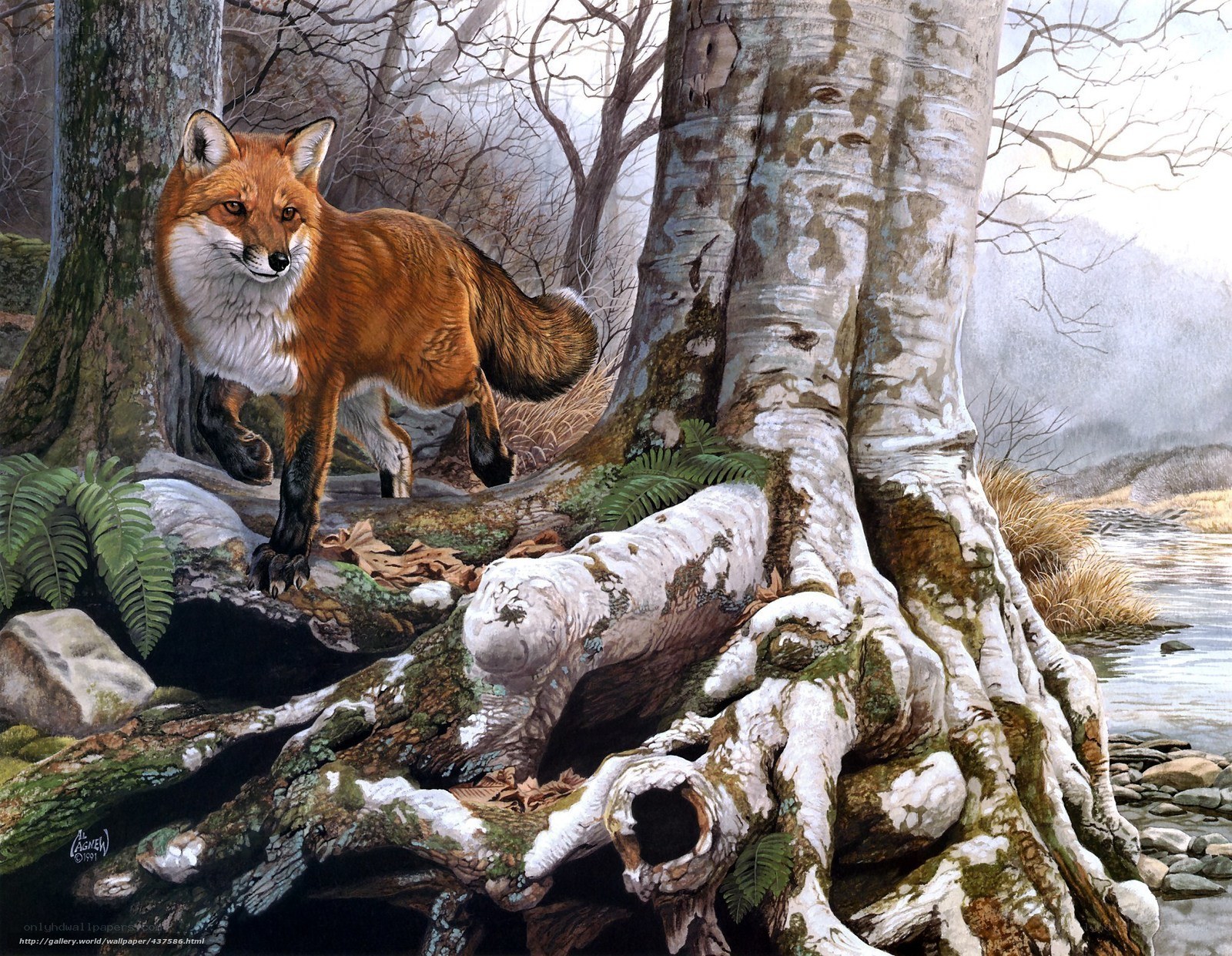 Fox in a forest scene