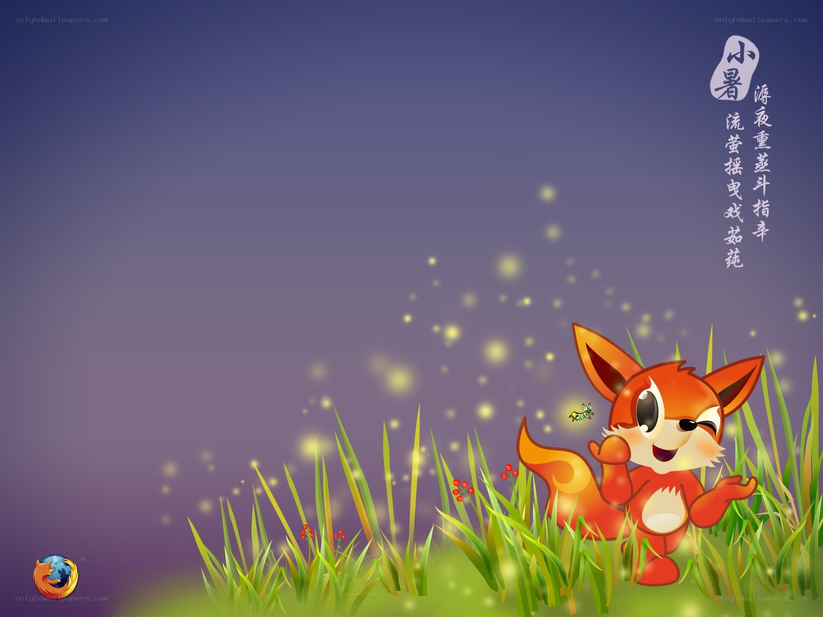 Fox in a grassy field