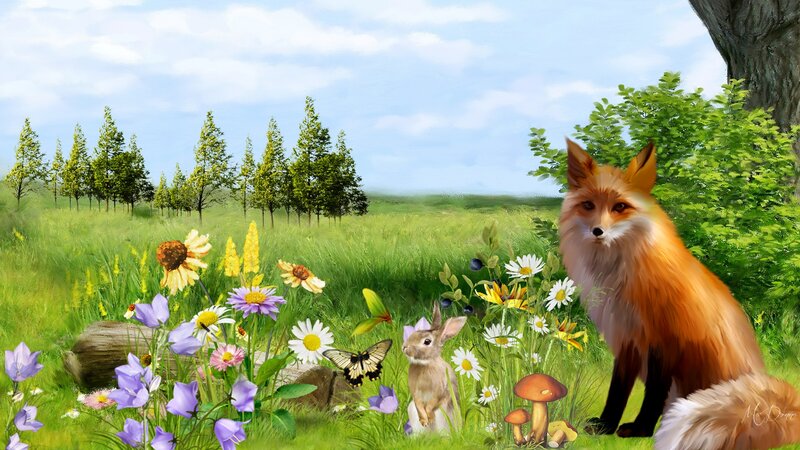 Fox in a Meadow — Green