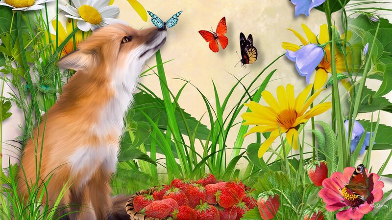 Fox in a Meadow