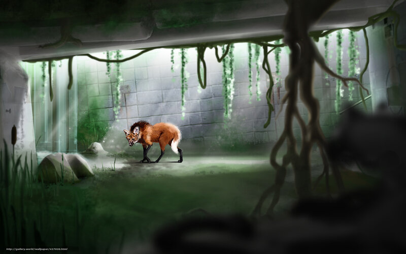 Fox in a mossy ruin