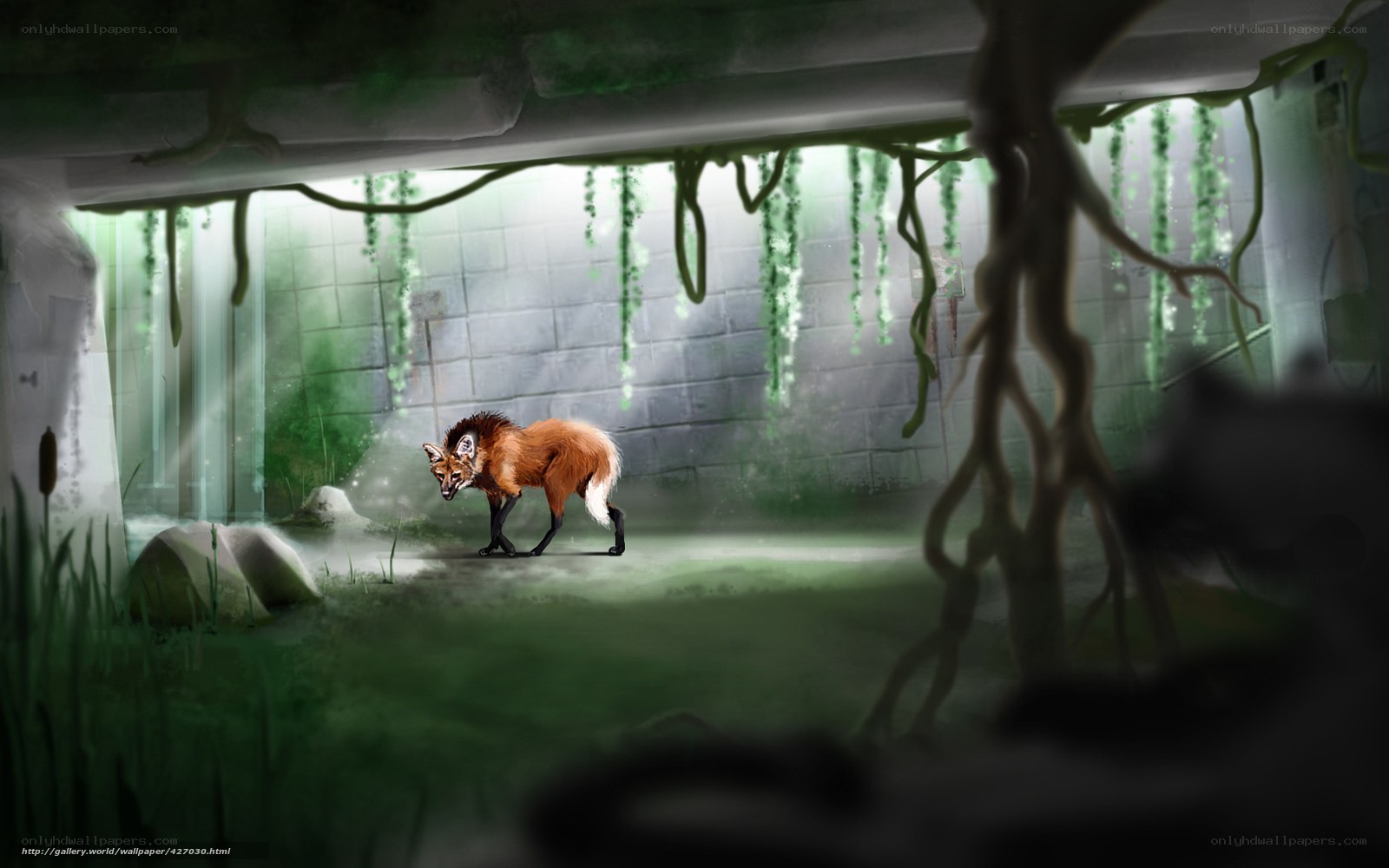 Fox in a mossy ruin