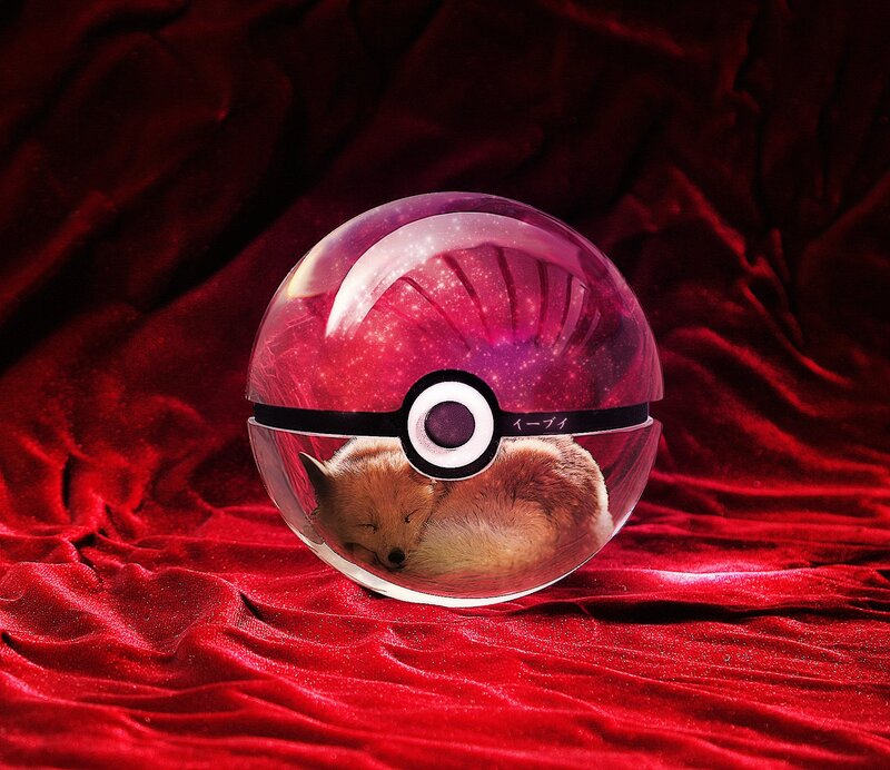 Fox in a Poké Ball