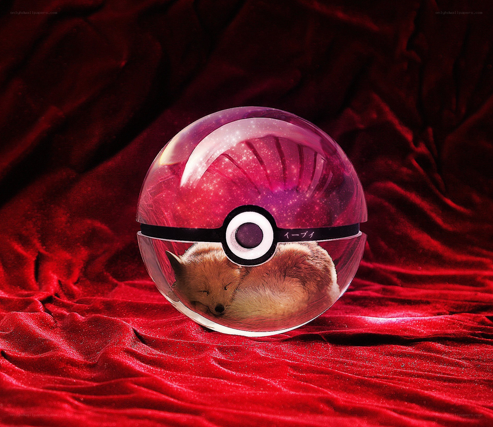Fox in a Poké Ball