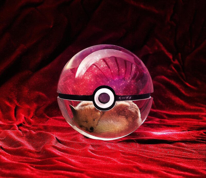 Fox in a Pokeball
