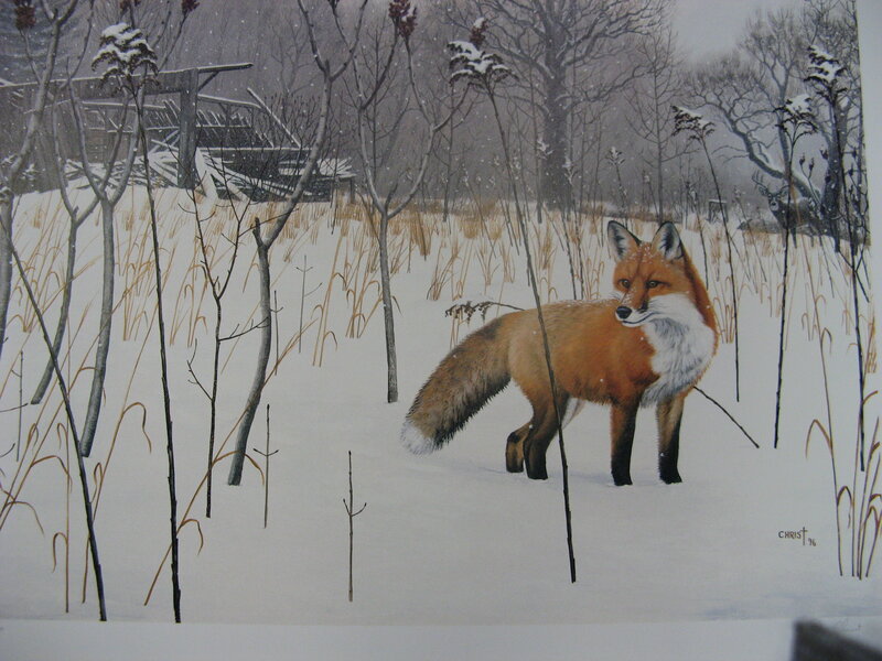 Fox in a snowy field