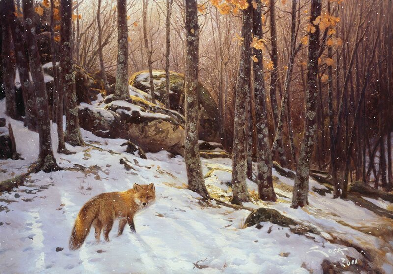 Fox in a snowy forest