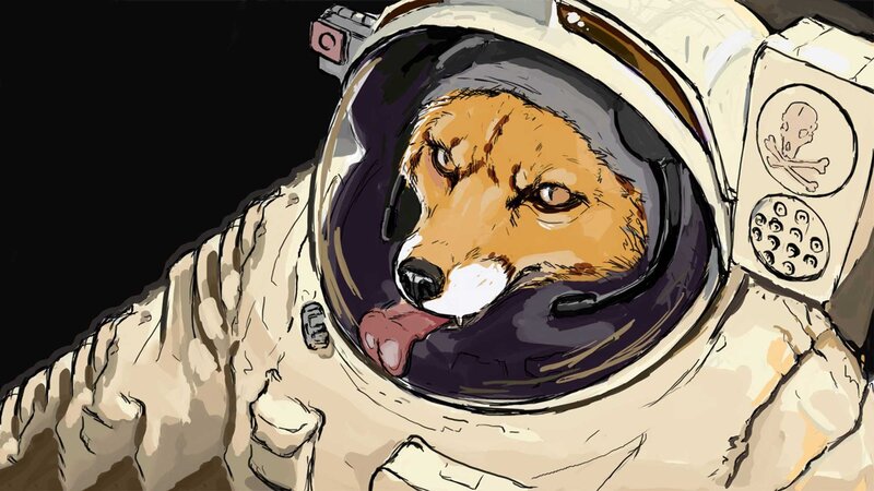 Fox in Astronaut Suit