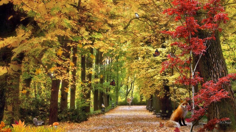 Fox in Autumn Forest — Yellow