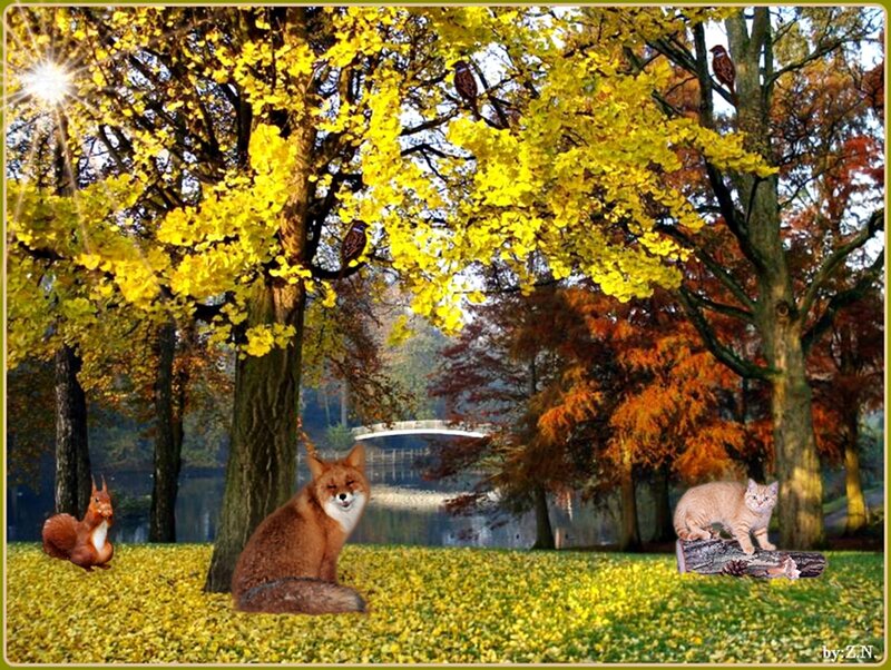Fox in Autumn Park
