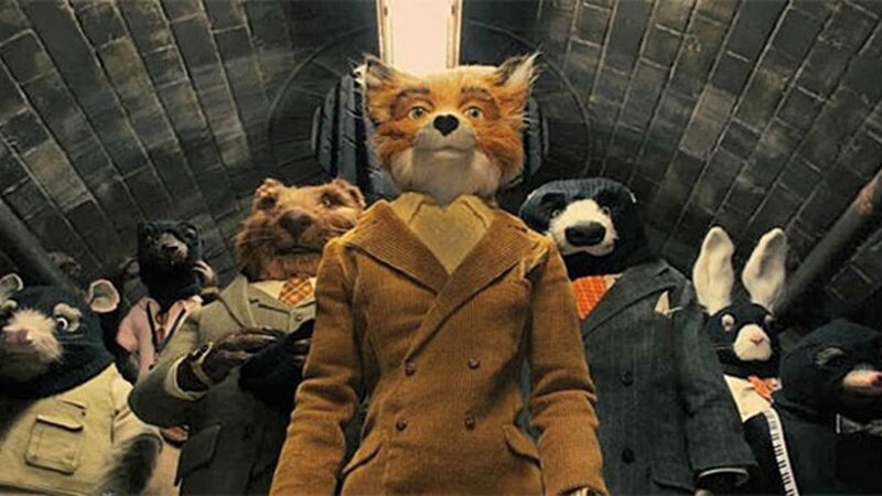 Fox in Brown Coat