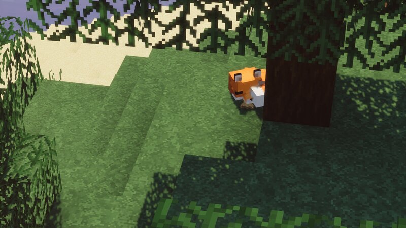 Fox in Forest — Green, Calm