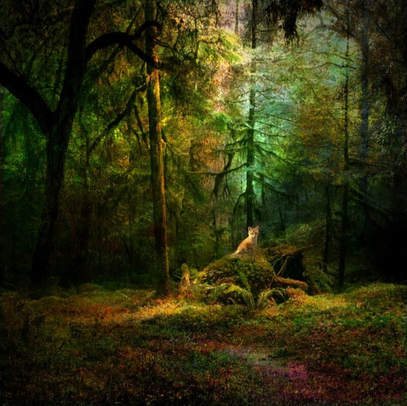 Fox in Forest — Green, Mysterious