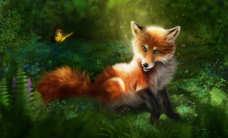 Fox in Forest — Green, Serene, Afternoon