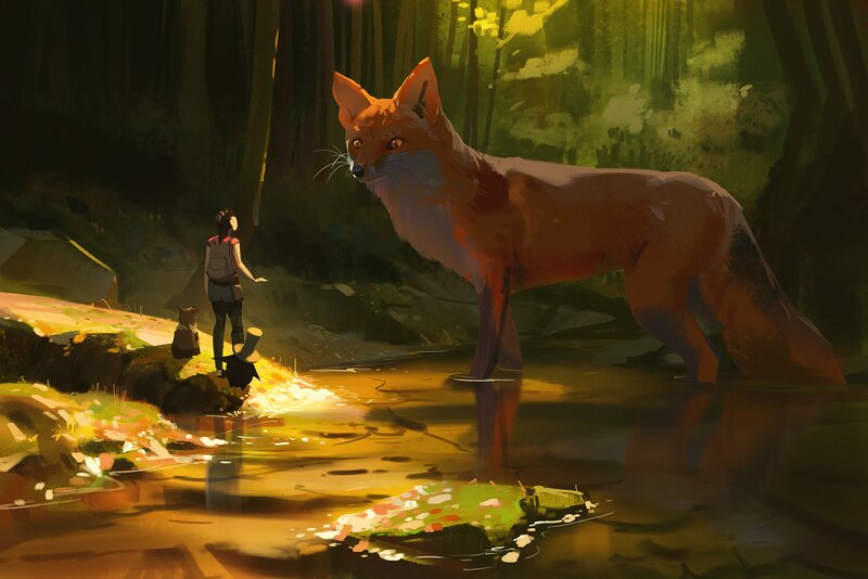 Fox in Forest Stream