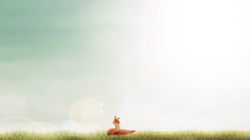 Fox in Grass Field