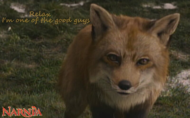 Fox in Grass