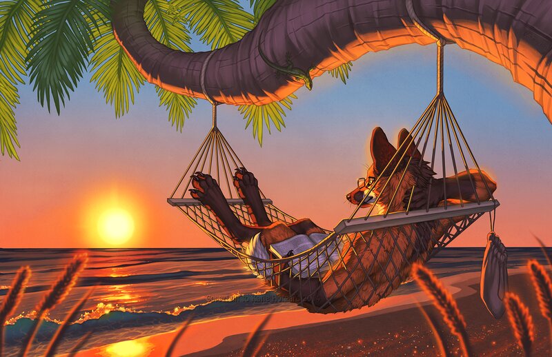 Fox in Hammock