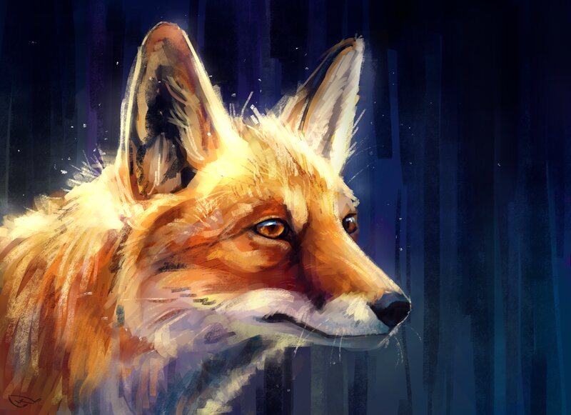 Fox in Profile — Orange