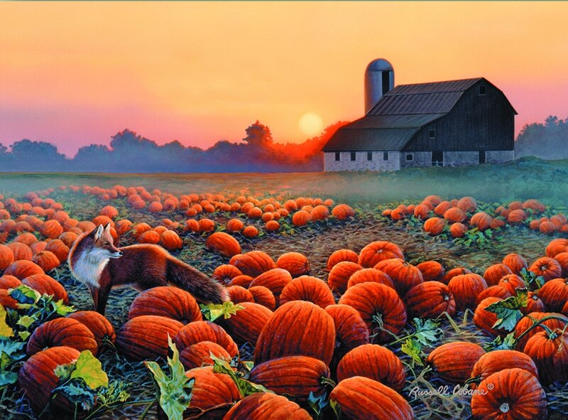 Fox in Pumpkin Patch