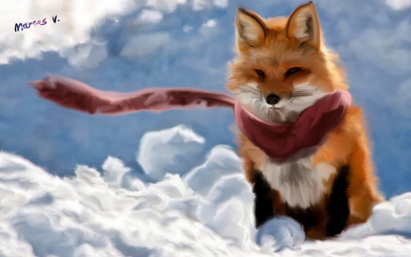 Fox in Snow — Orange, Calm
