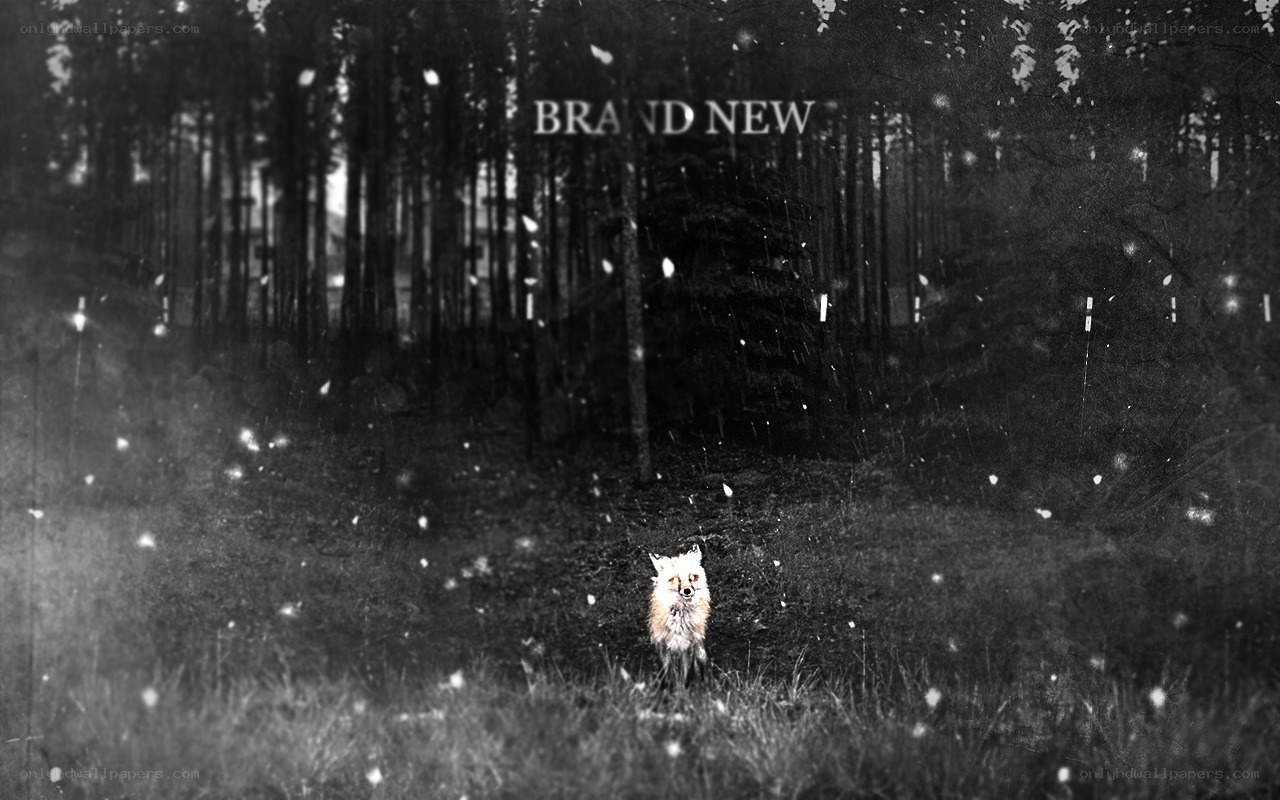 fox in snowy forest