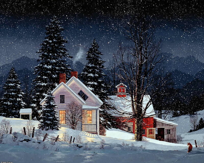Fox in Snowy Landscape — White, Serene, Night