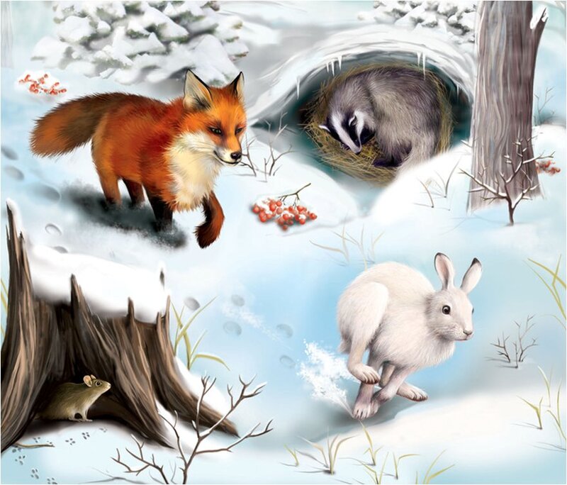 Fox in Winter Forest — White