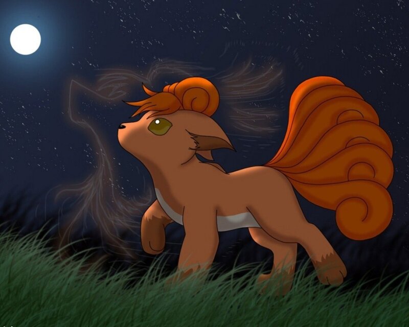 Fox-like Creature in Grass — Orange