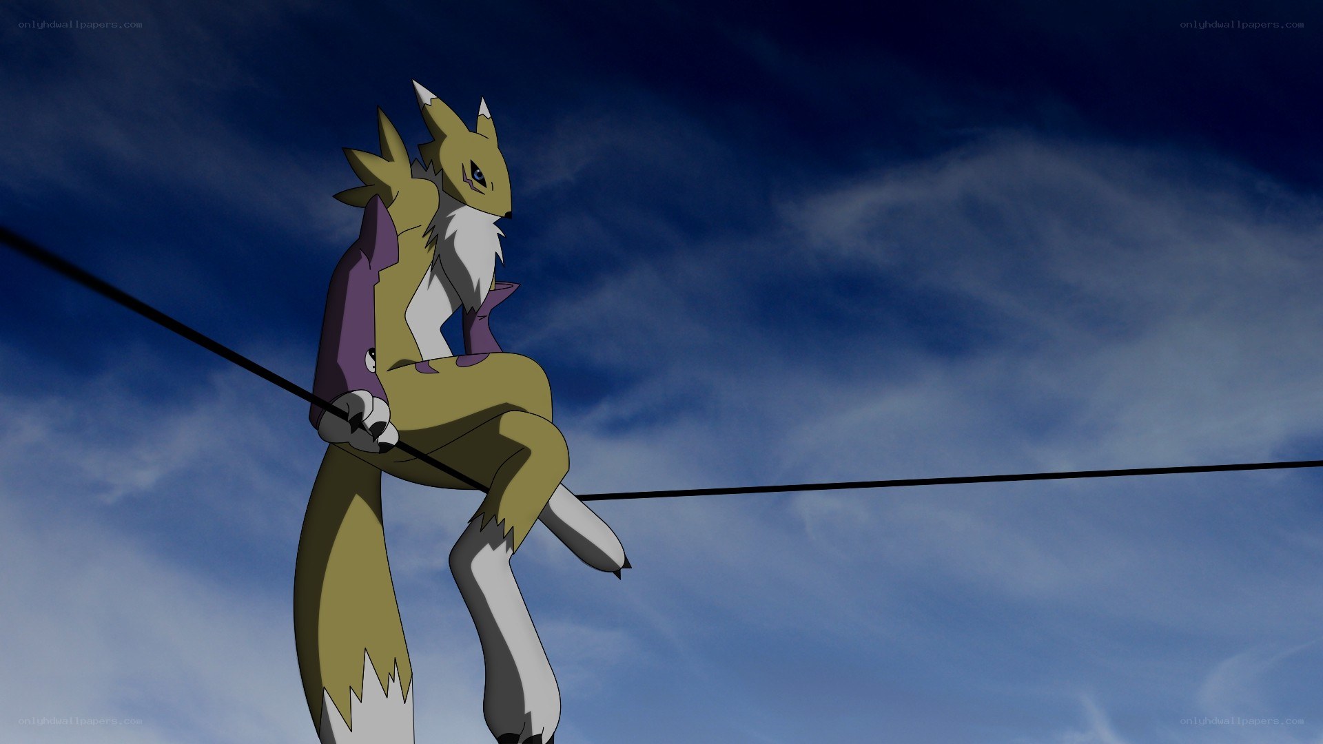 fox-like creature on a wire