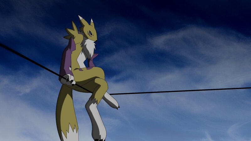 Fox-like Creature on Wire