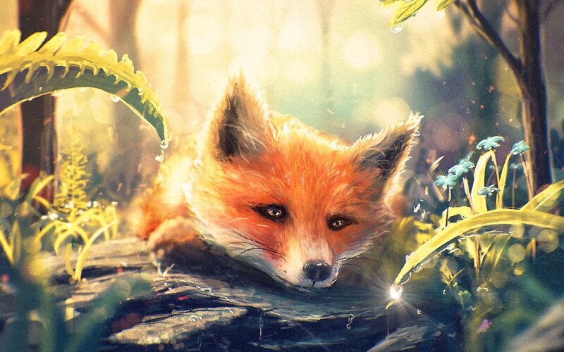 Fox Lying in Forest — Orange