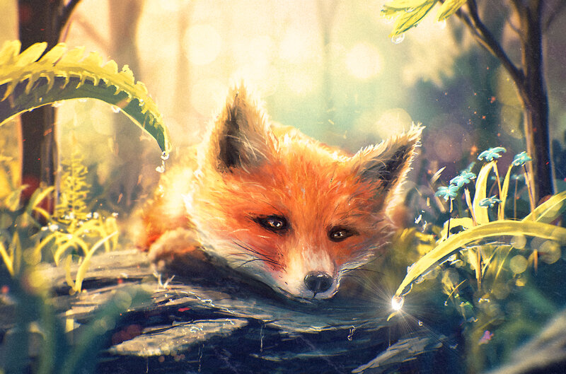Fox Lying in Forest