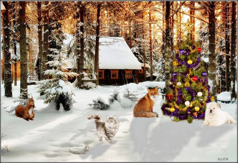 Fox Near Christmas Tree