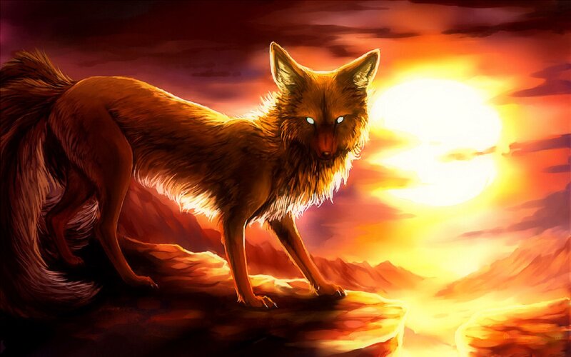 Fox on a Cliff
