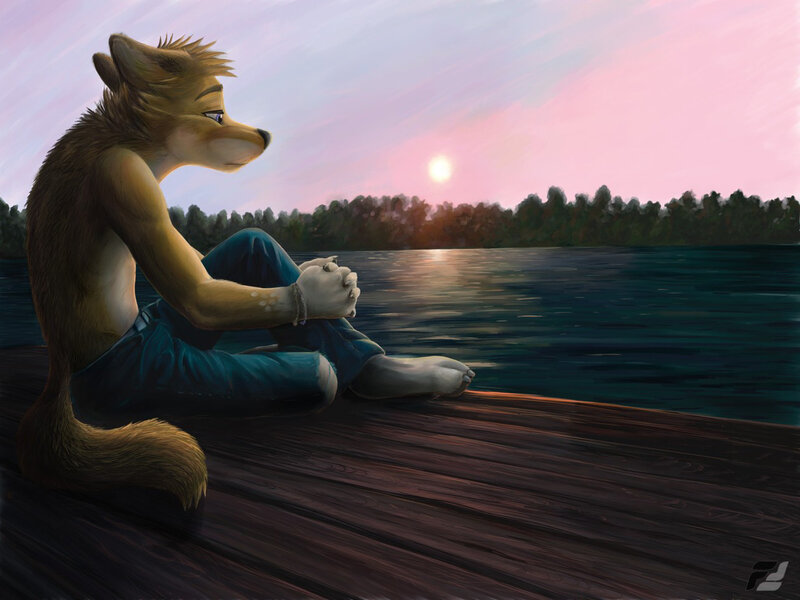 fox on a dock at sunset