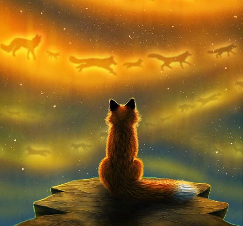Fox on a Rock