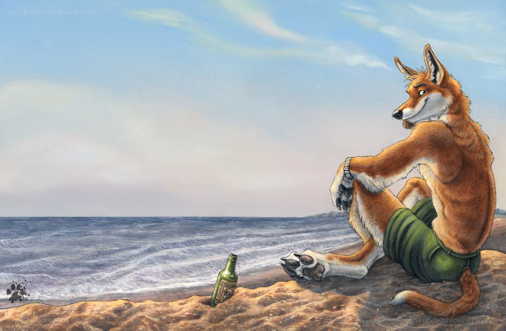 fox on the beach with bottle