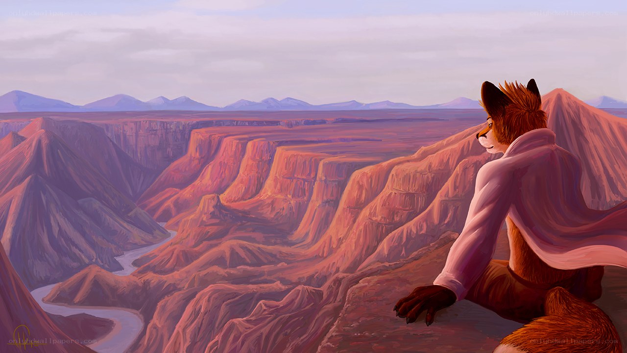 fox overlooking canyon