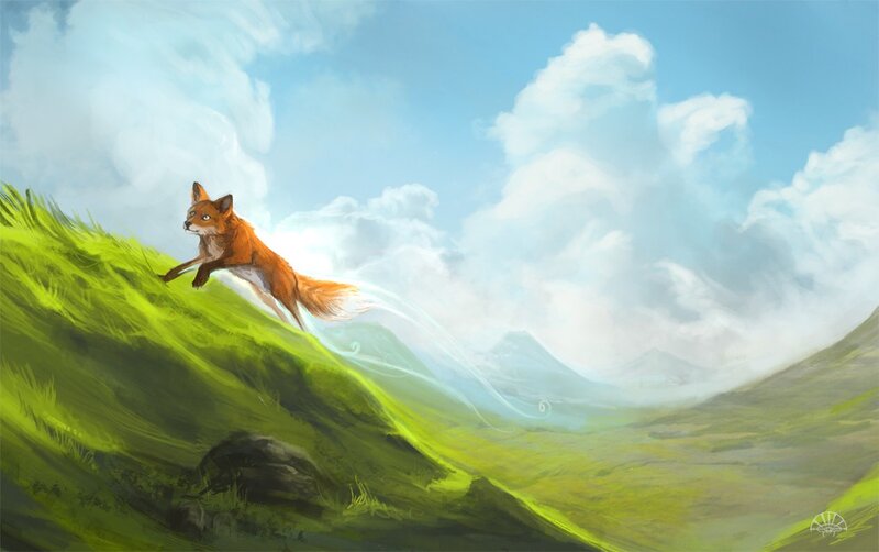fox running on a hill